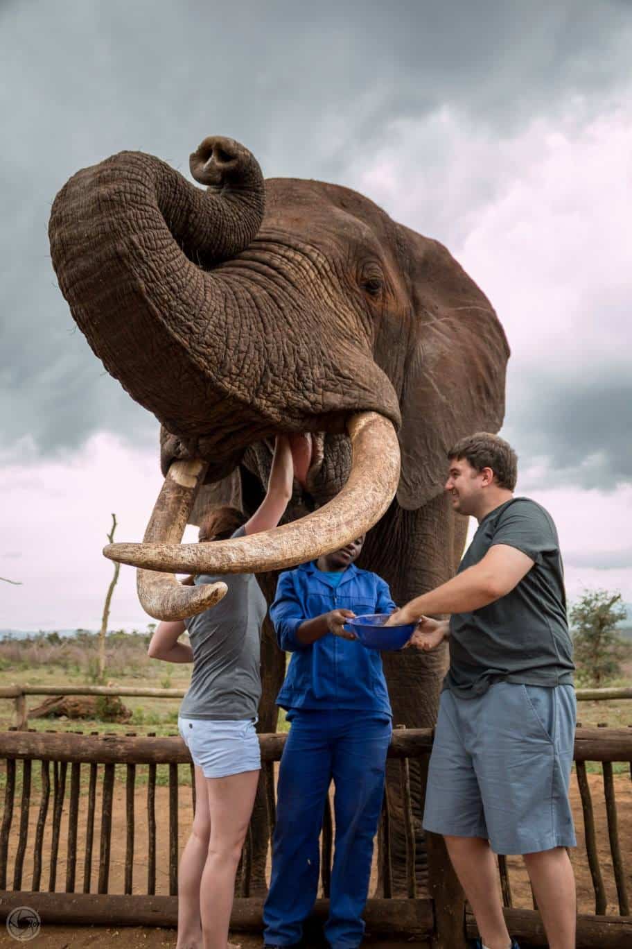 day safari tour