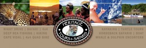 hluhluwe umfolozi 4x4 safaris Hluhluwe Umfolozi Open 4x4 Safari