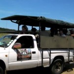 Hluhluwe Umfolozi Open 4x4 Safari