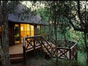 munyawaneni bush lodge accommodation