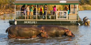 7 night safari tour south africa