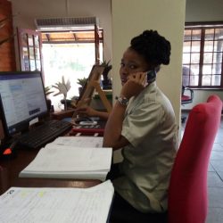 nellie office