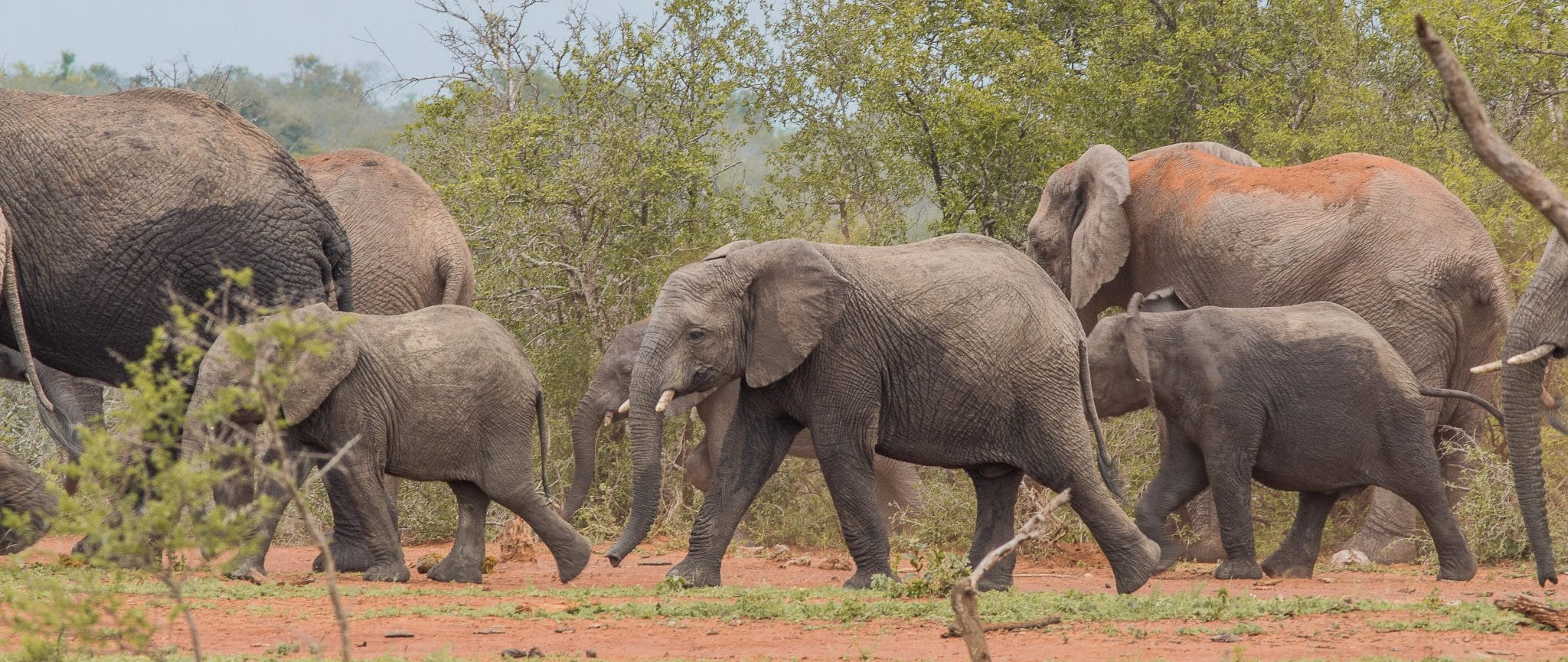 hluhluwe day tours and trips