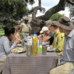 hluhluwe umfolozi safari