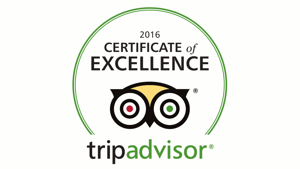 tripadvisor 2016