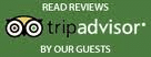 Tripadvisor Reviews