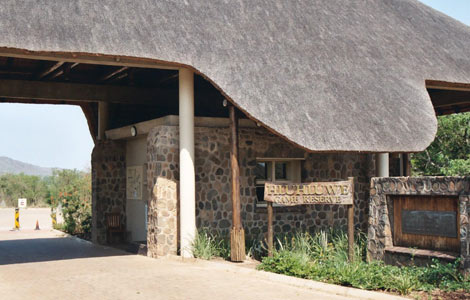 Hluhluwe Game Reserve Safari Prices Gate Times 1 memorial gate