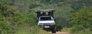 Hluhluwe Game Reserve 2013 Rates 1 3 hour safari