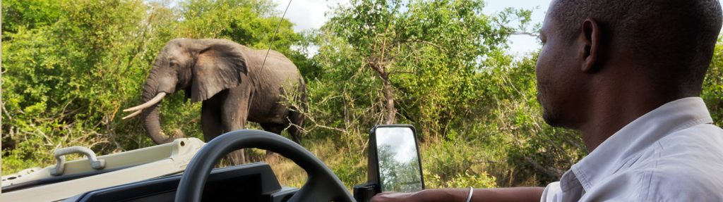 tembe safari