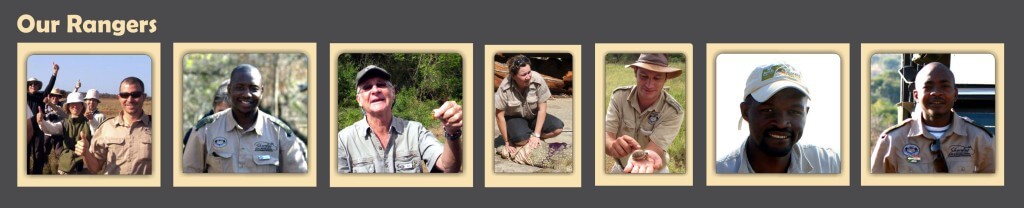 Durban Safari to Hluhluwe Umfolozi Departing Daily game rangers