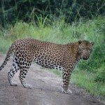 IMG_0648