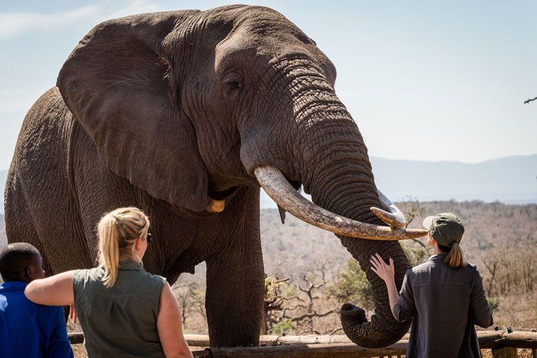 Hluhluwe Game Reserve Activities