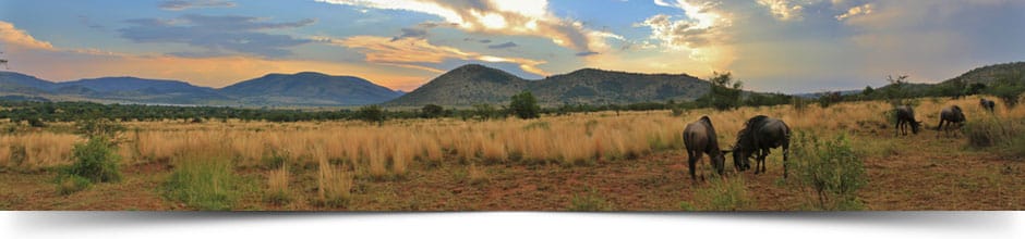 game reserves in south africa pilanesberg