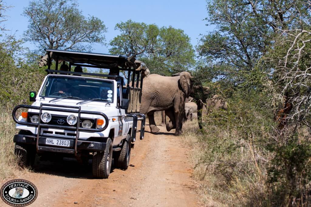 Safari near Durban 2 safaris safari near durban