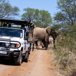 game reserves in south africa, hluhluwe game reserve