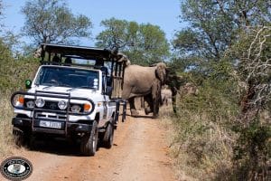 game reserves in south africa, hluhluwe game reserve