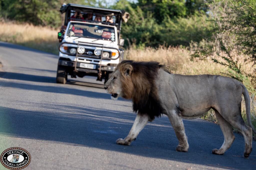 News & Updates from Heritage Tours & Safaris 14 December 2014 4 imfolozi park safari