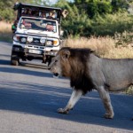 2 Day Safari Package to South Africa 6 hluhluwe safari