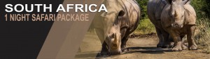 1 Night Safari Package South Africa