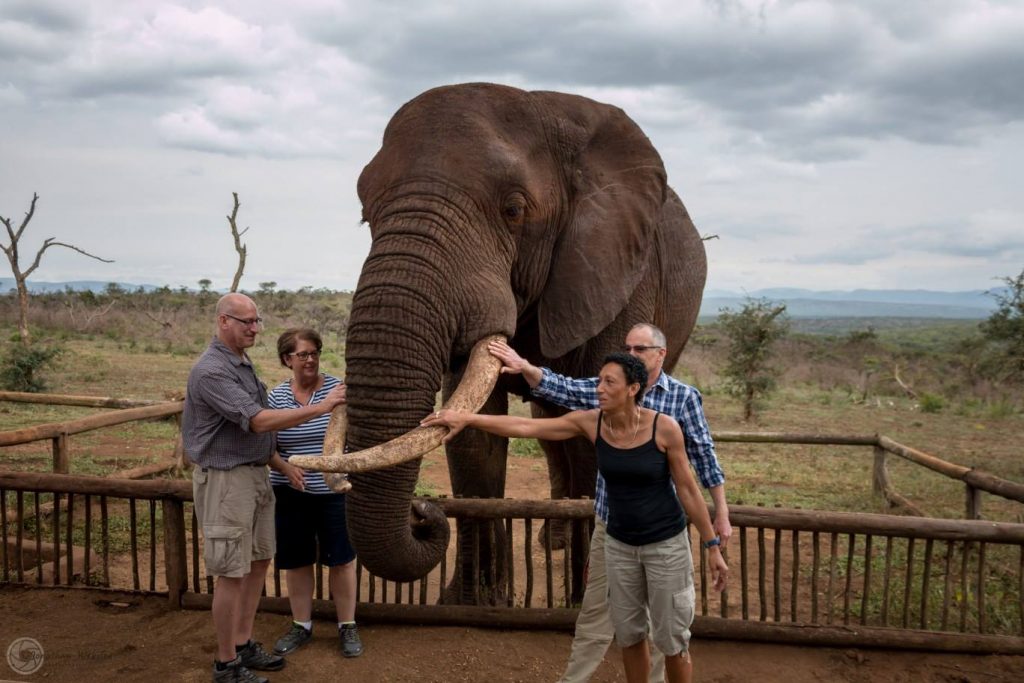 Hluhluwe Game Reserve Safari Tips and information