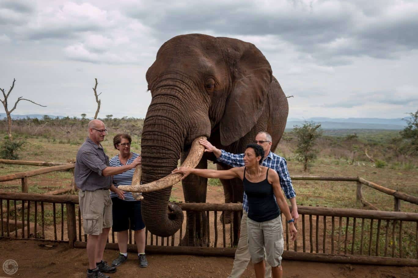 Hluhluwe Game Reserve Safari Tips and information