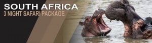 3 Night Safari Package South Africa