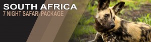 Durban Packages