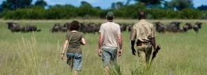 Durban Safari Packages to Hluhluwe
