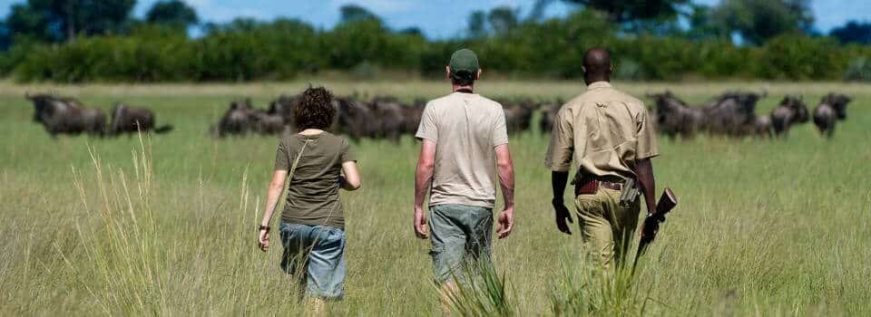 Half Day Hluhluwe Umfolozi Safari 3 guided walking safari tours