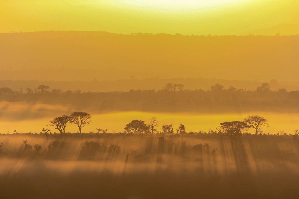 hluhluwe-imfolozi park sunrise