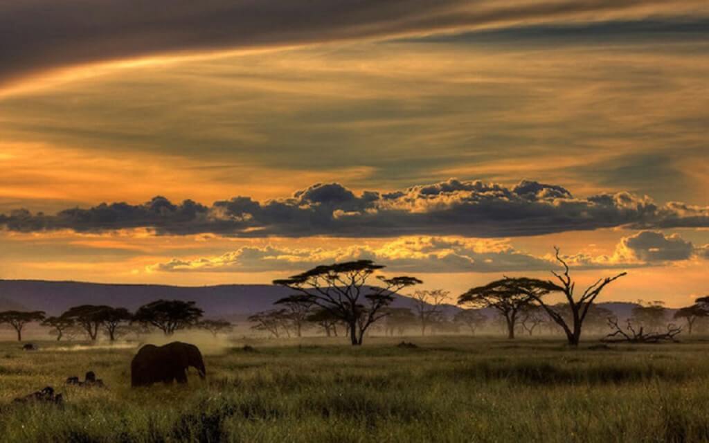 Africa