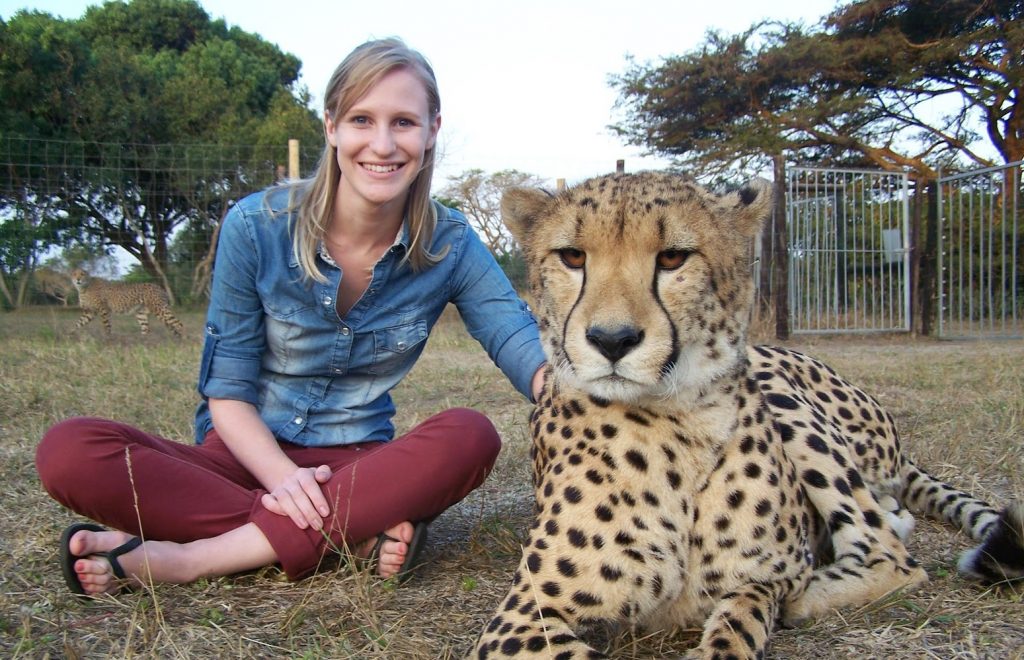 Cheetah Facts & Info