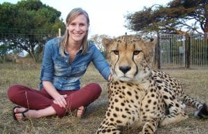 Cheetah Facts & Info