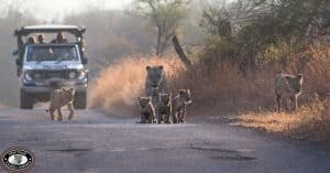 Durban Safari Packages 7 heritage tours and safaris in zululand