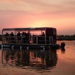 boat safari tours