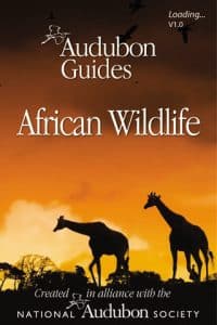 african wildlife app
