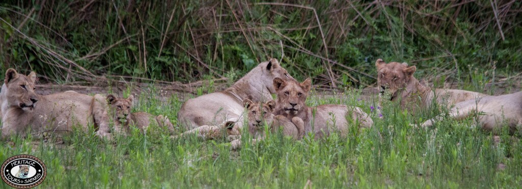 Hluhluwe Reservations and Bookings