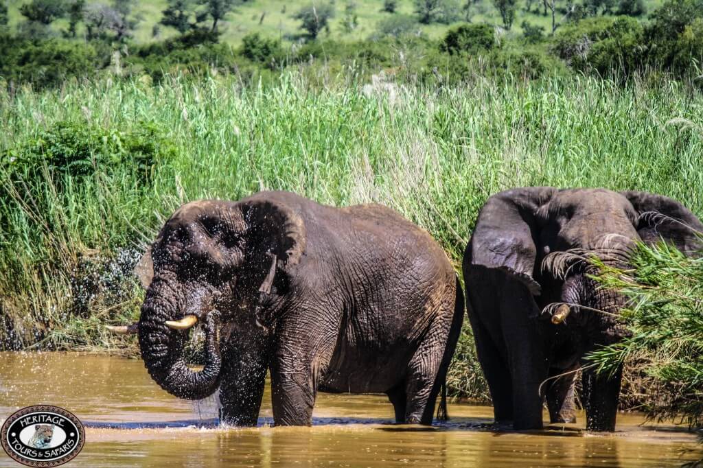 News & Updates from Heritage Tours & Safaris 14 December 2014 1 News & Updates from Heritage Tours and Safaris 14 December 2014