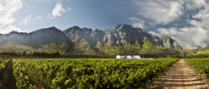 franschoek