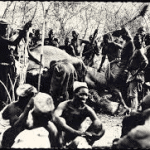 ivory hunting