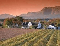 stellenbosch wine tours what to expect