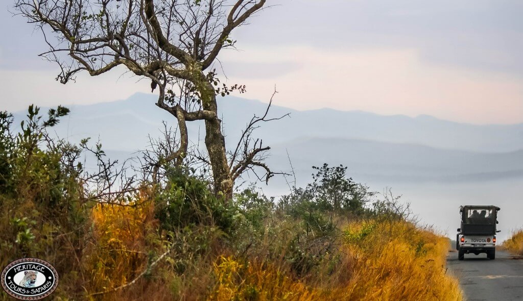 durban day tours and safaris
