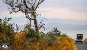 Hluhluwe Game Reserve Specials 2015 3 durban day tours and safaris