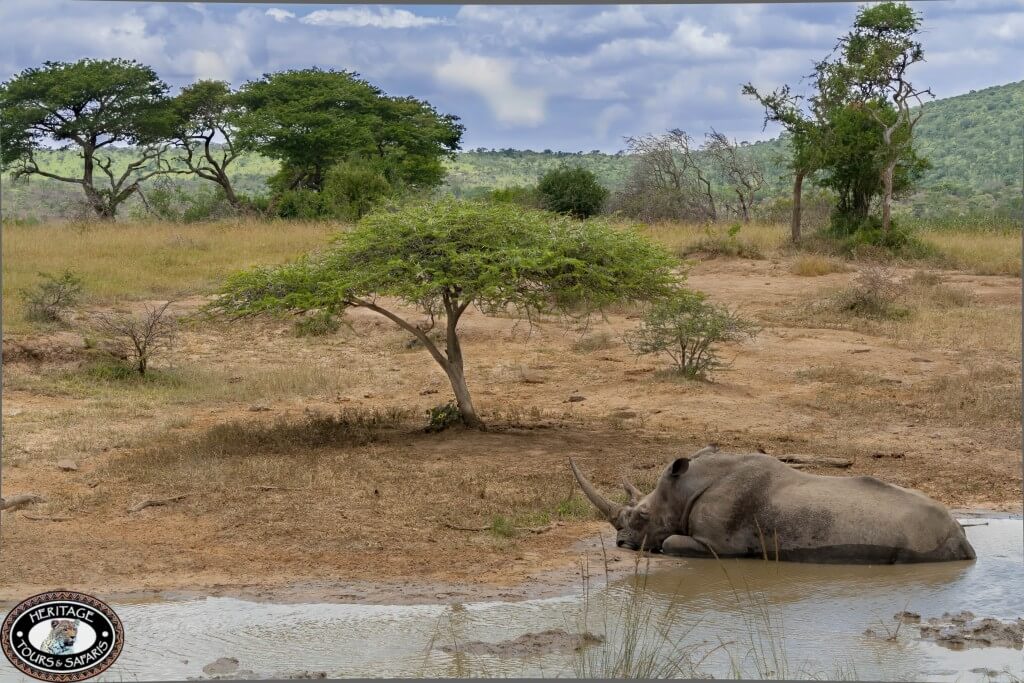 Durban Day Tour 4 Durban Day Tour