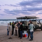turtle tours st lucia