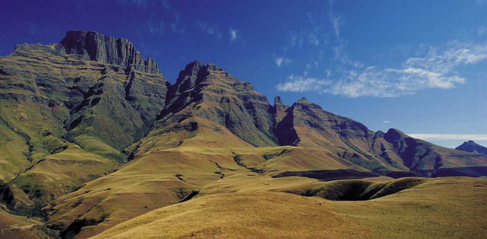 Durban Tour Packages 5 8 day natal safari package