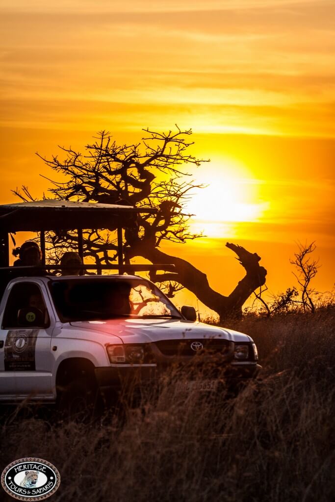 hluhluwe game reserve safari