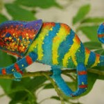 Chameleons 3 Chameleons