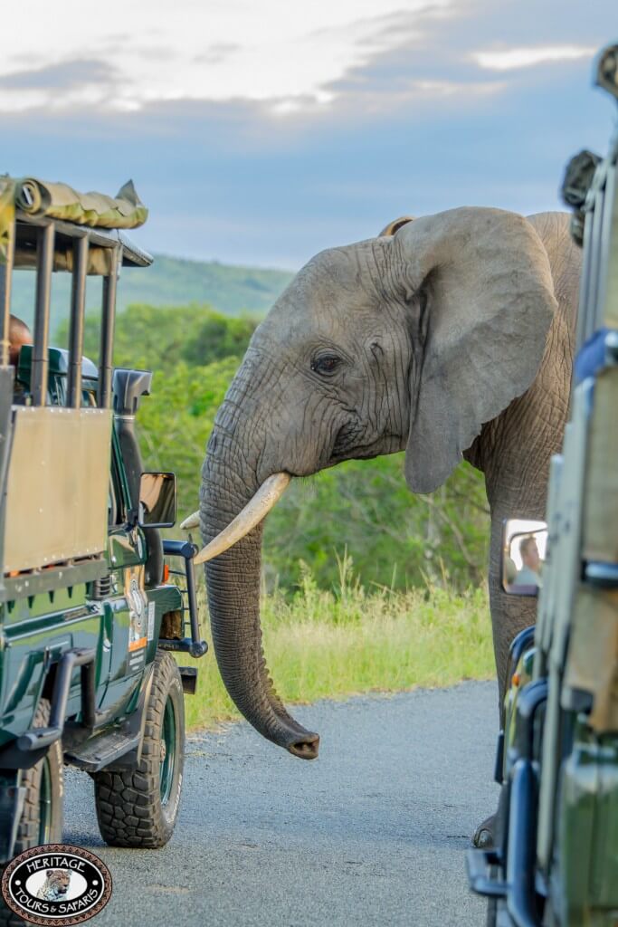 package tours and safaris kwazulu natal