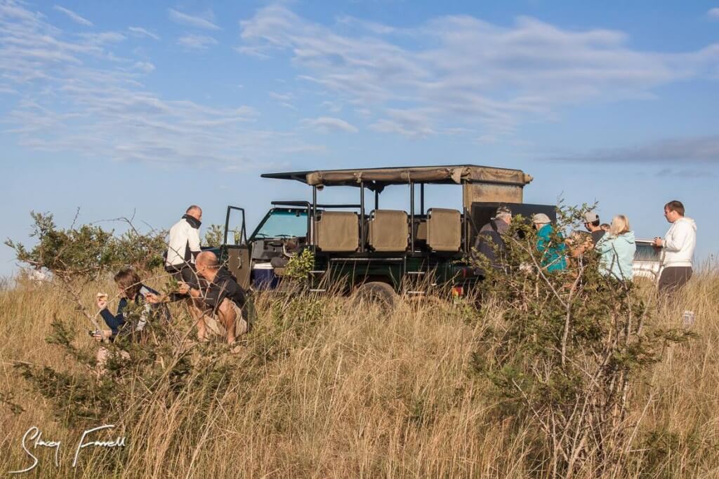Durban Tours & Safaris 1 Durban Tours & Safaris South Africa